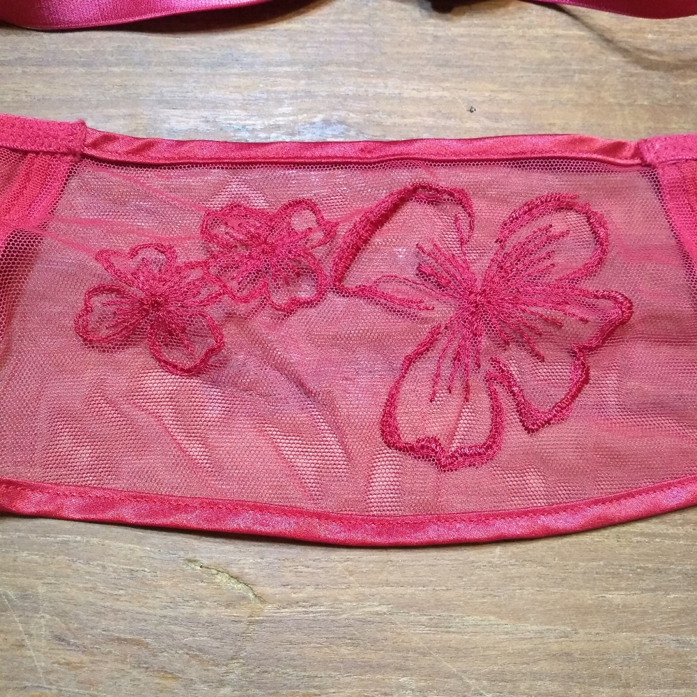 La Senza 2-Piece Red Bra (34B) & Red Lace Garter (Size Medium) - Picture 13 of 15